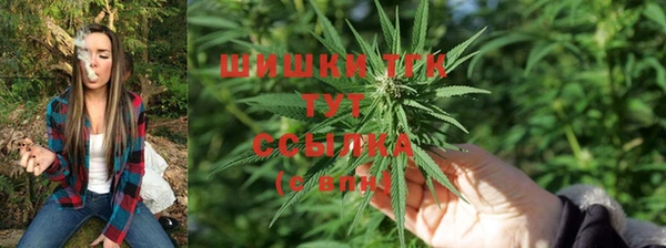 соль курить ск Новокубанск