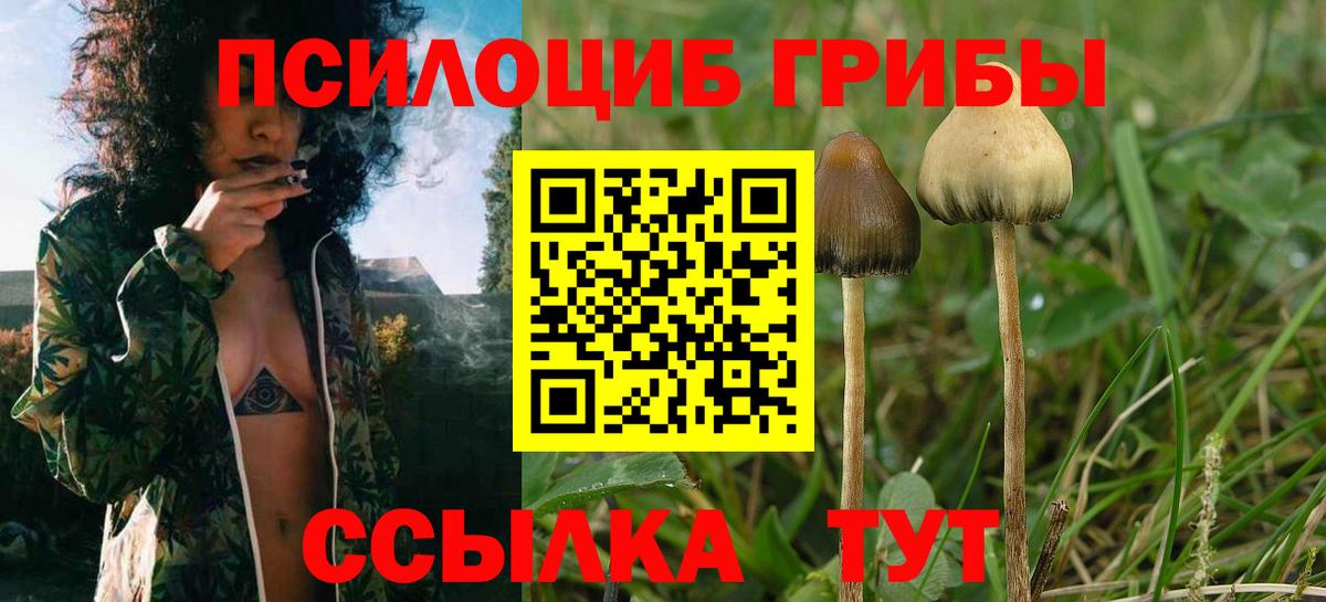 Галлюциногенные грибы MAGIC MUSHROOMS  Вход с VPN  Лабытнанги 